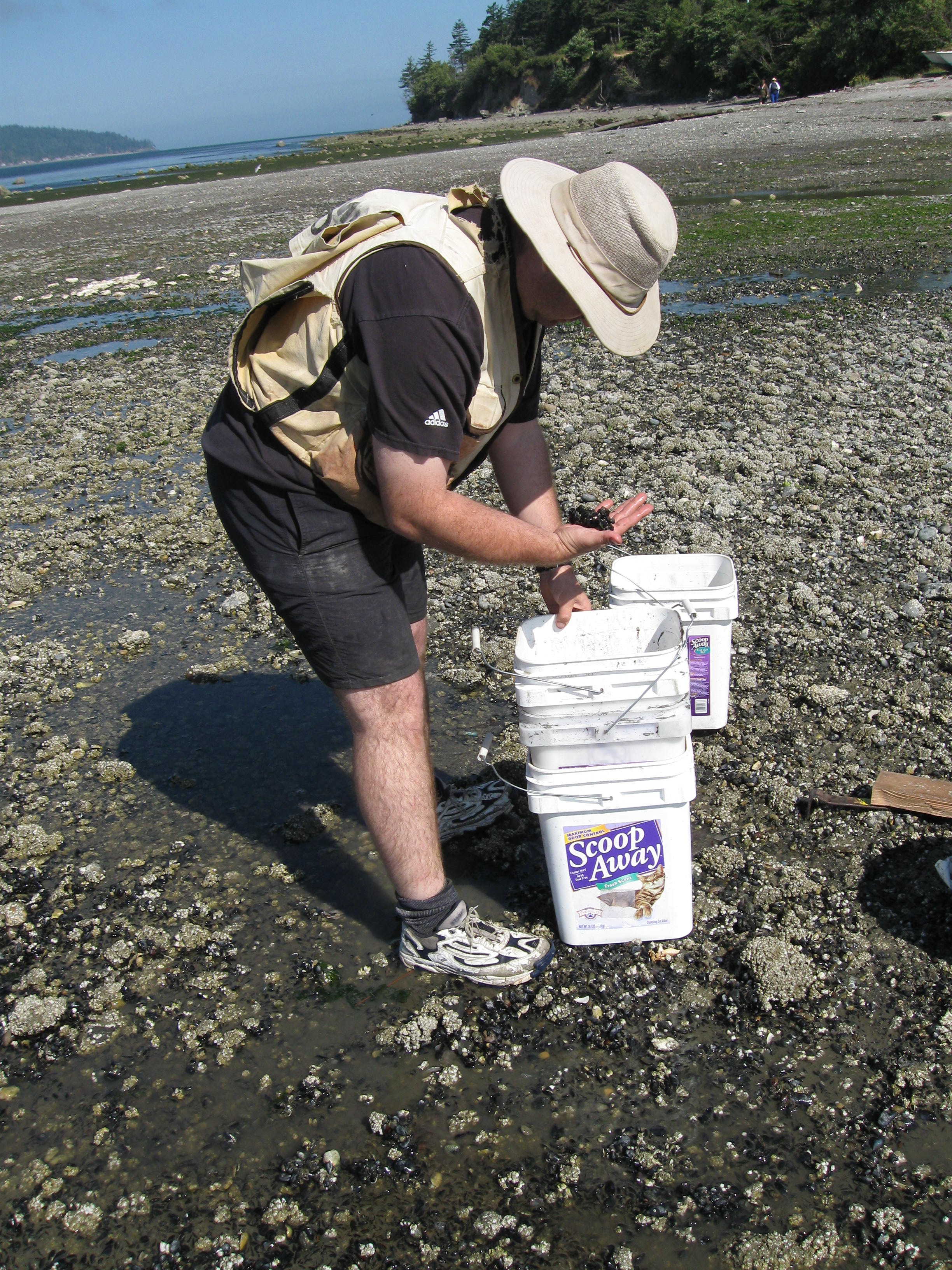 Testing Field Equipment for the LIBI Survey